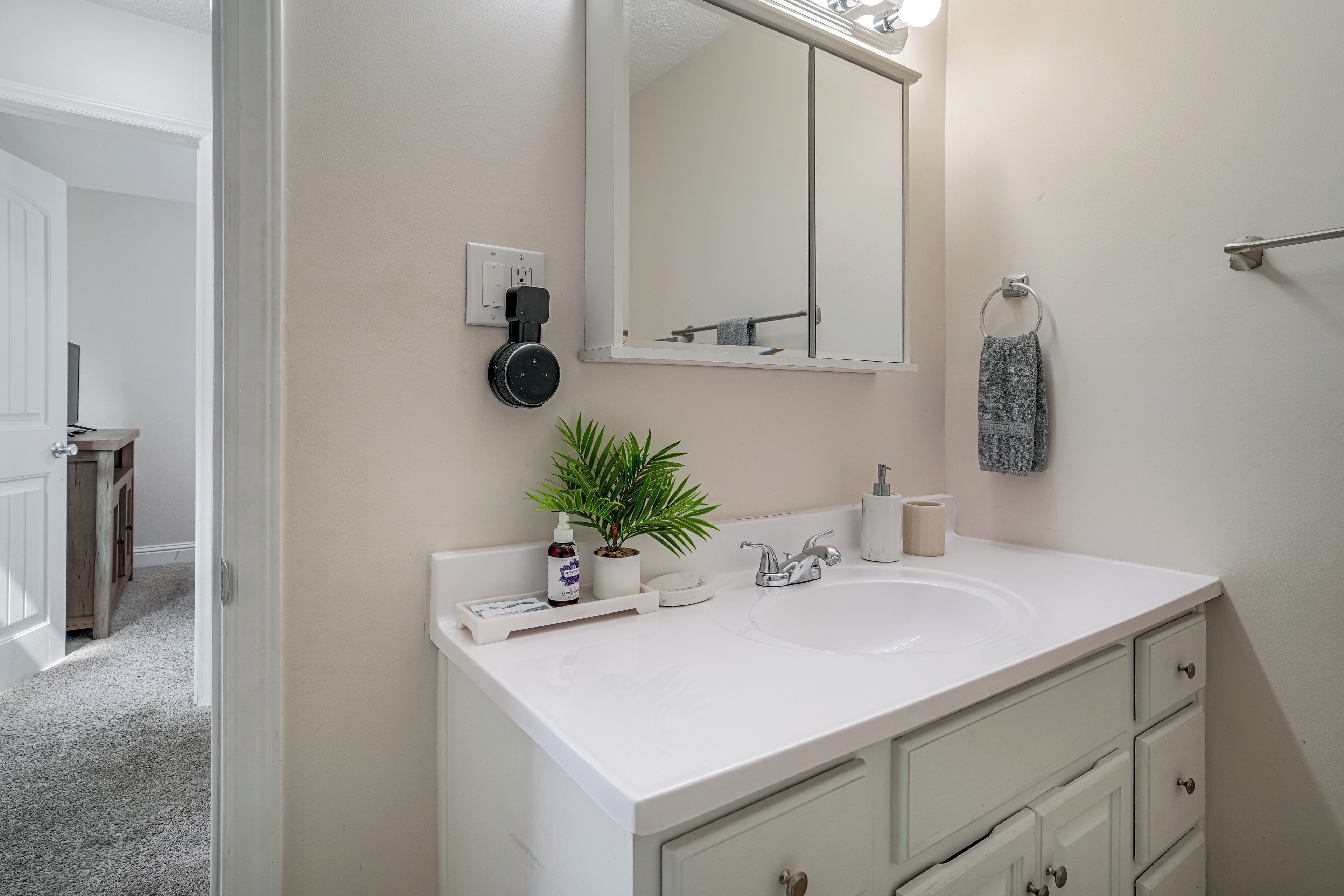 A bathroom with a white sink, a mirror, a towel rack, a plant, and a bottle of hand soap.