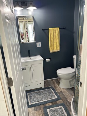 Shower, jetted bath, hair dryer, towels