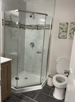 Shower, towels, soap, toilet paper