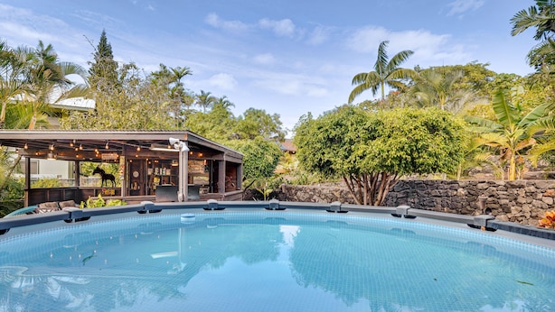 A swimming pool with a covered area, surrounded by tropical vegetation and a stone wall.