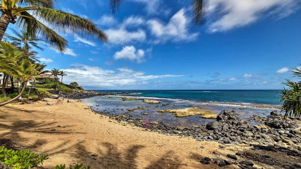 Une plage avec une eau d’un bleu limpide, un rivage rocheux et des palmiers.
