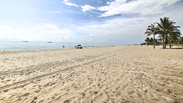 Ein breiter, sandiger Strand mit Palmen und blauem Himmel.