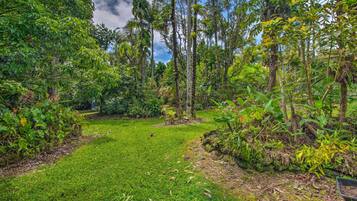 Apartment (0 Bedroom) | Interior