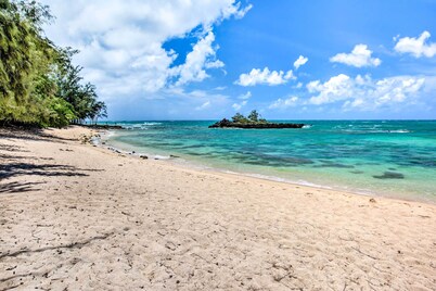 풀 접근 & 골프 코스와 거북이 베이 콘도!