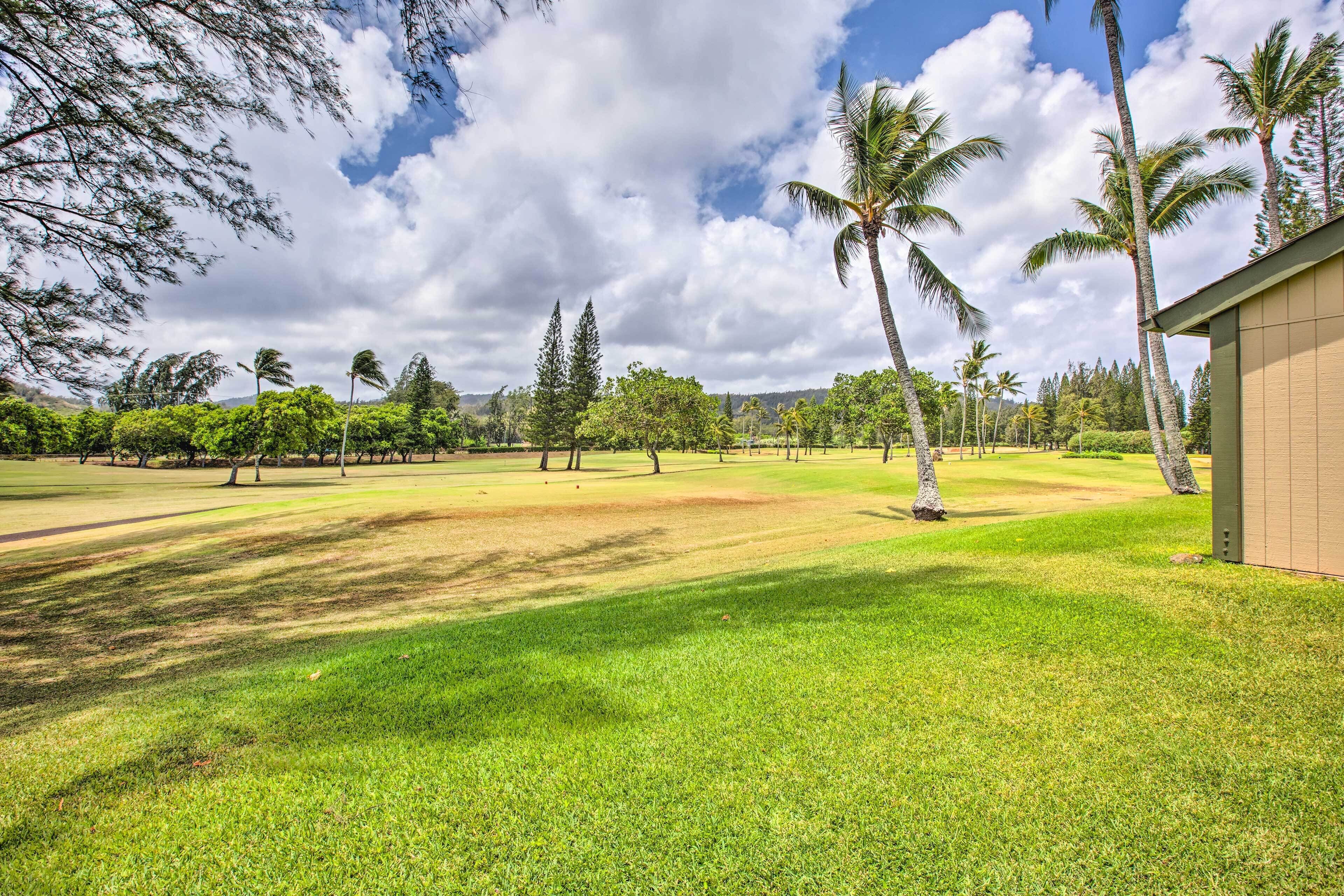 A grassy area with palm trees and a building.