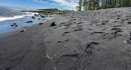 'the Aloha Green House' Retreat w/ Ocean Views!