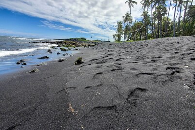 'the Aloha Green House' Retreat w/ Ocean Views!