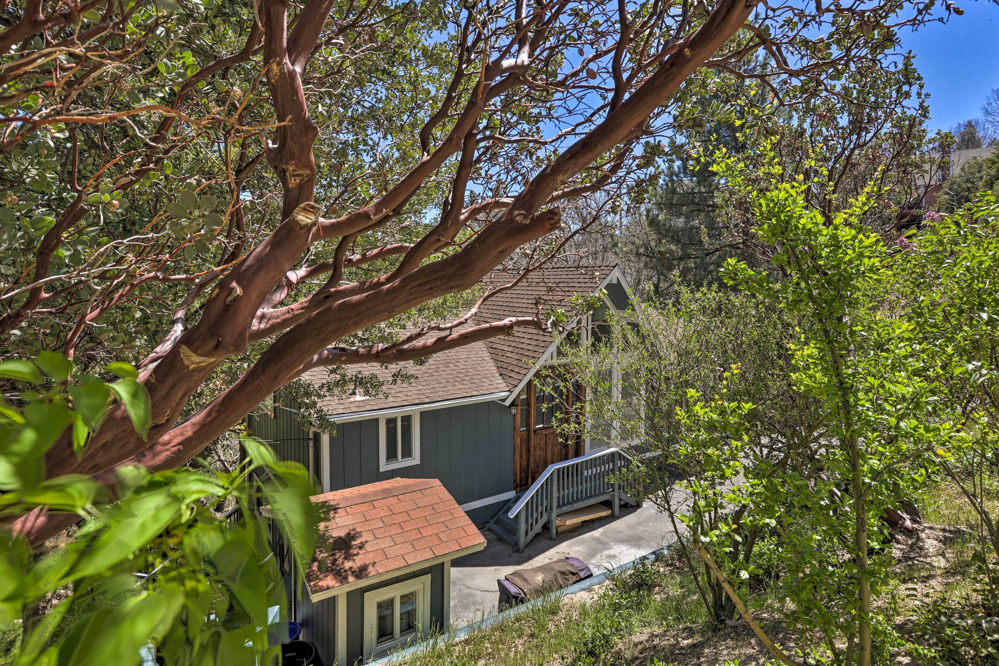 Una casa dal tetto rosso, una scala in legno e vista sugli alberi e le colline circostanti.