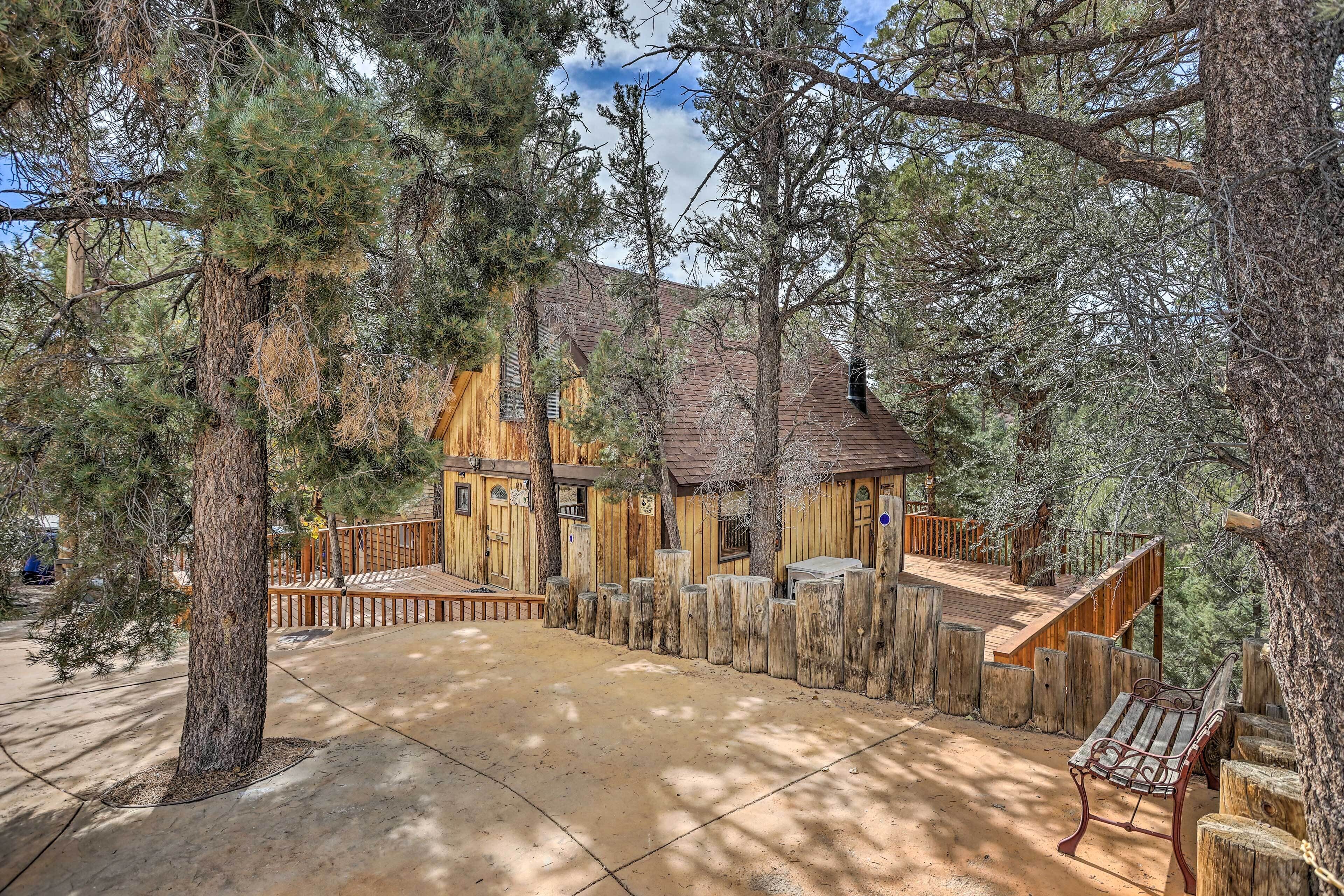 A rustic wooden cabin with a deck, surrounded by tall pine trees.