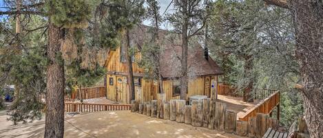 A rustic wooden cabin with a deck, surrounded by tall pine trees.
