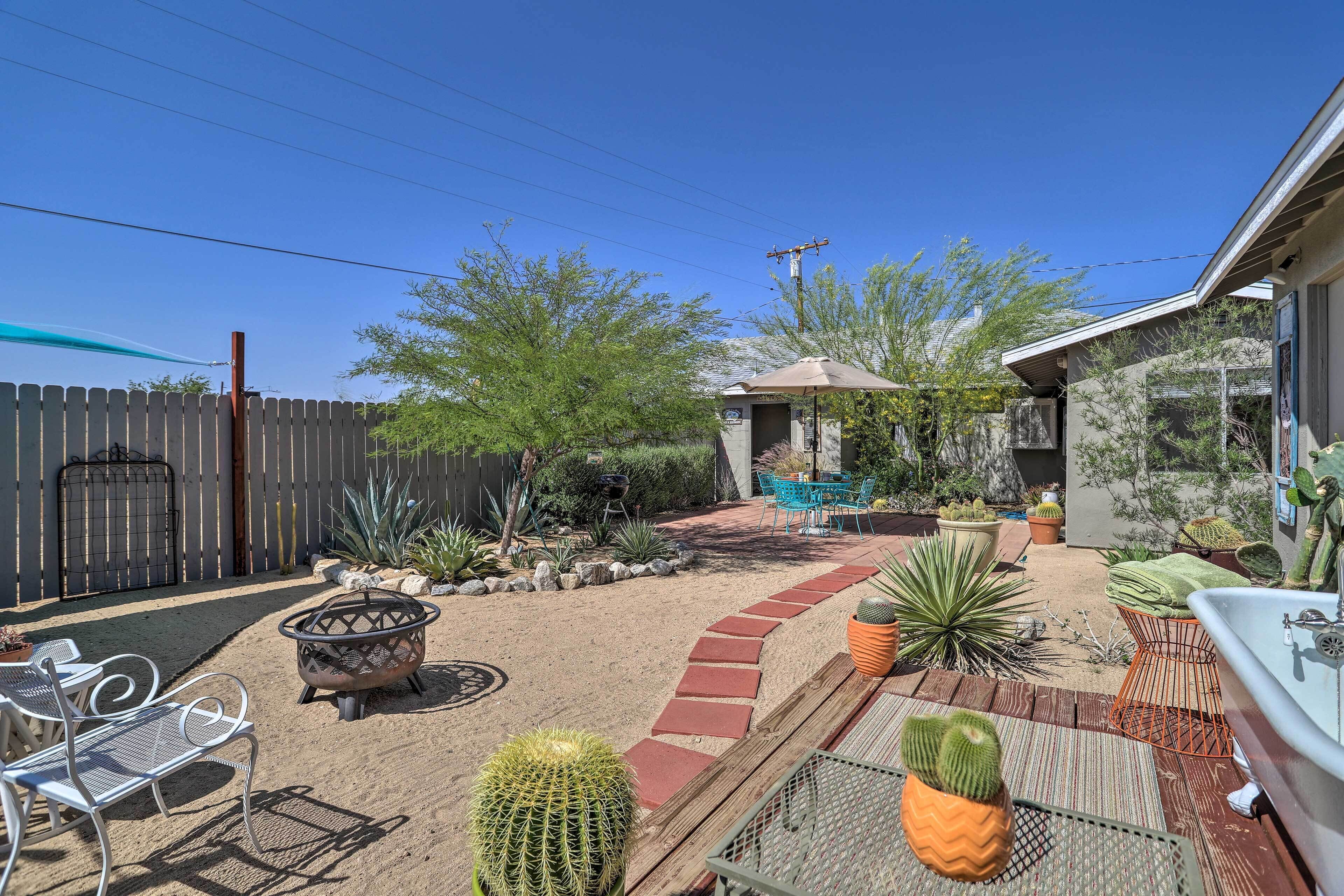 A backyard with a fire pit, patio furniture, and various cacti and succulents.