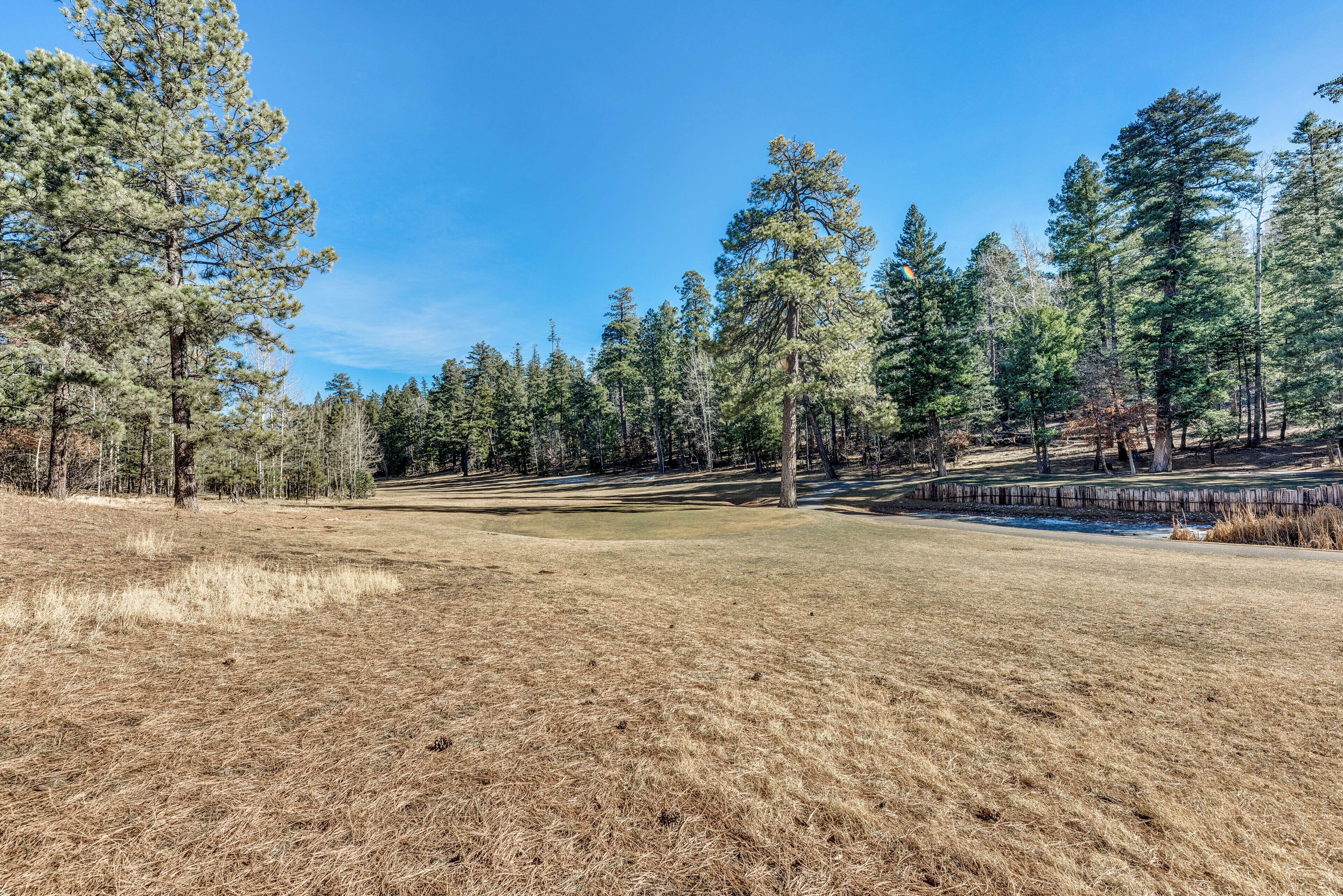 A dry, grassy field with tall pine trees and a wooden bridge in the background.