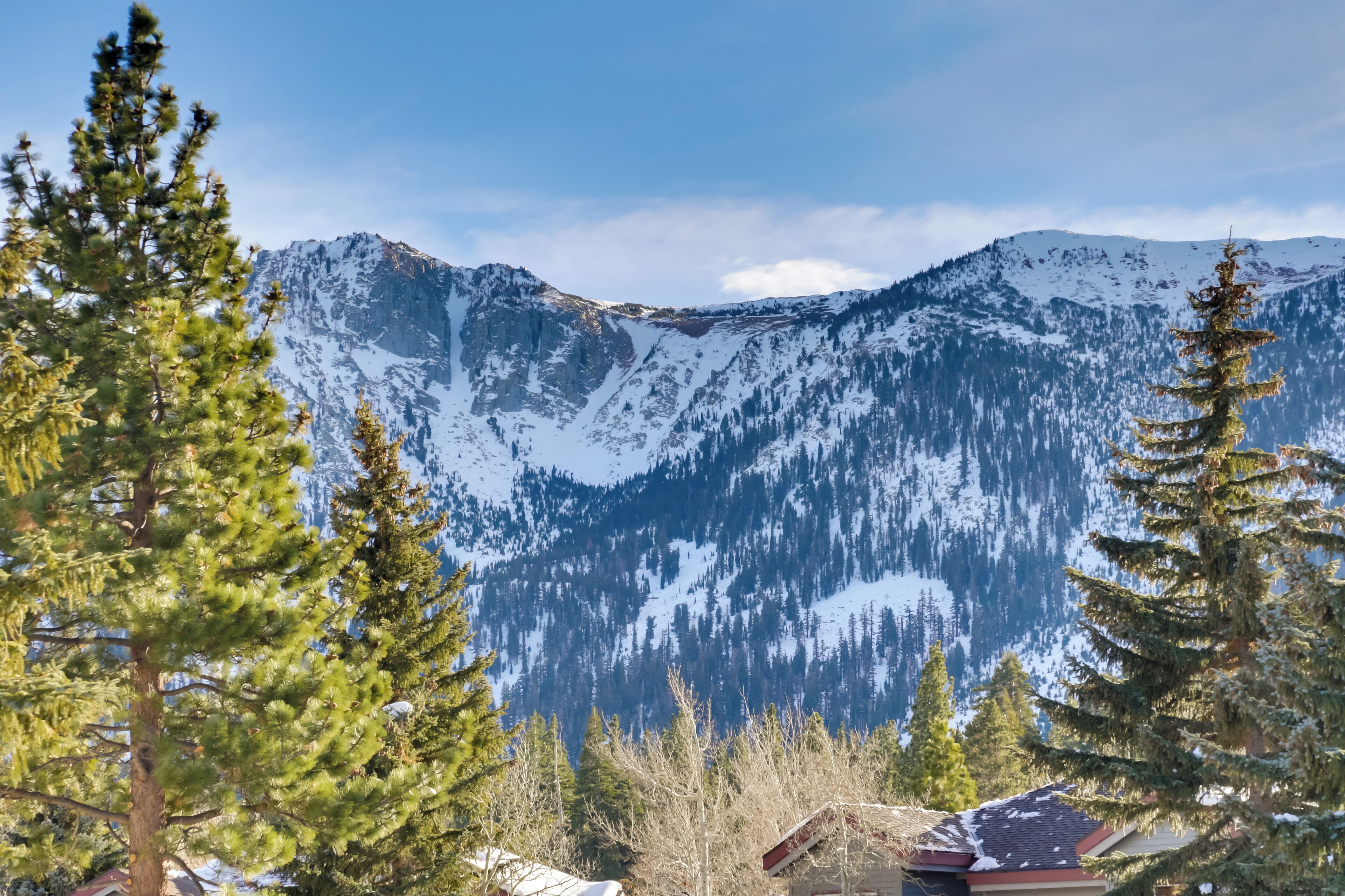 Un paysage de montagne avec des sommets enneigés et des arbres à feuilles persistantes.