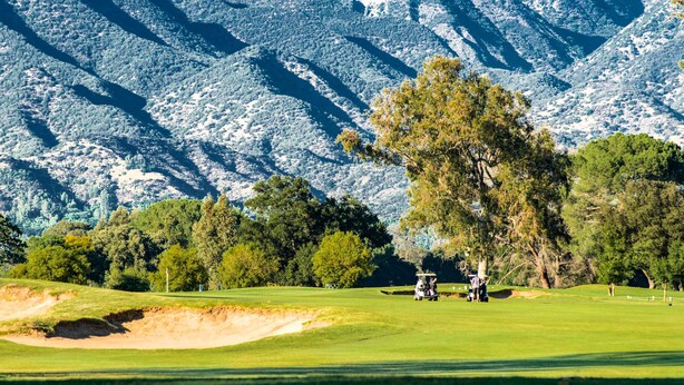 Un campo de golf con un árbol grande y una montaña al fondo.