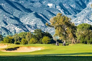Un campo de golf con un árbol grande y una montaña al fondo.