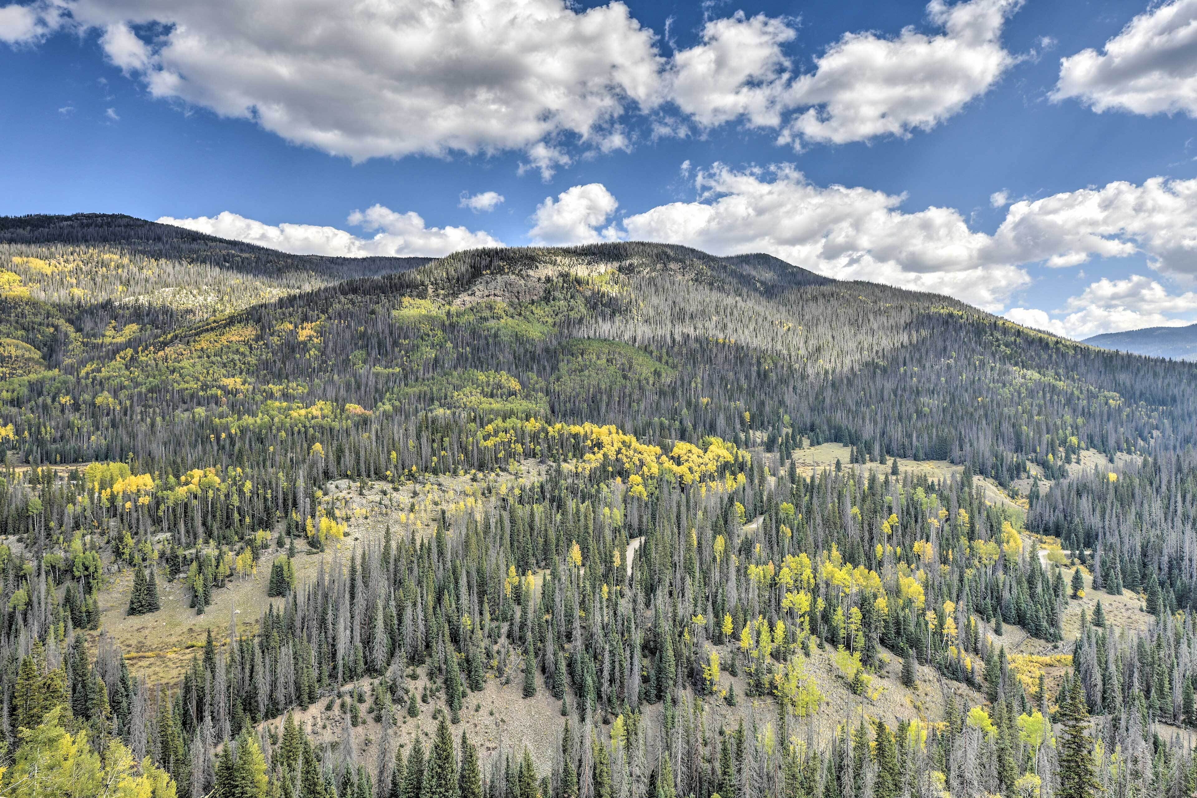 A mountainous landscape with dense forest and clear skies.