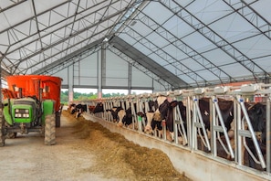 Interior - Farm Living w/ Fresh Harvest: Goshen Studio! (Goshen)