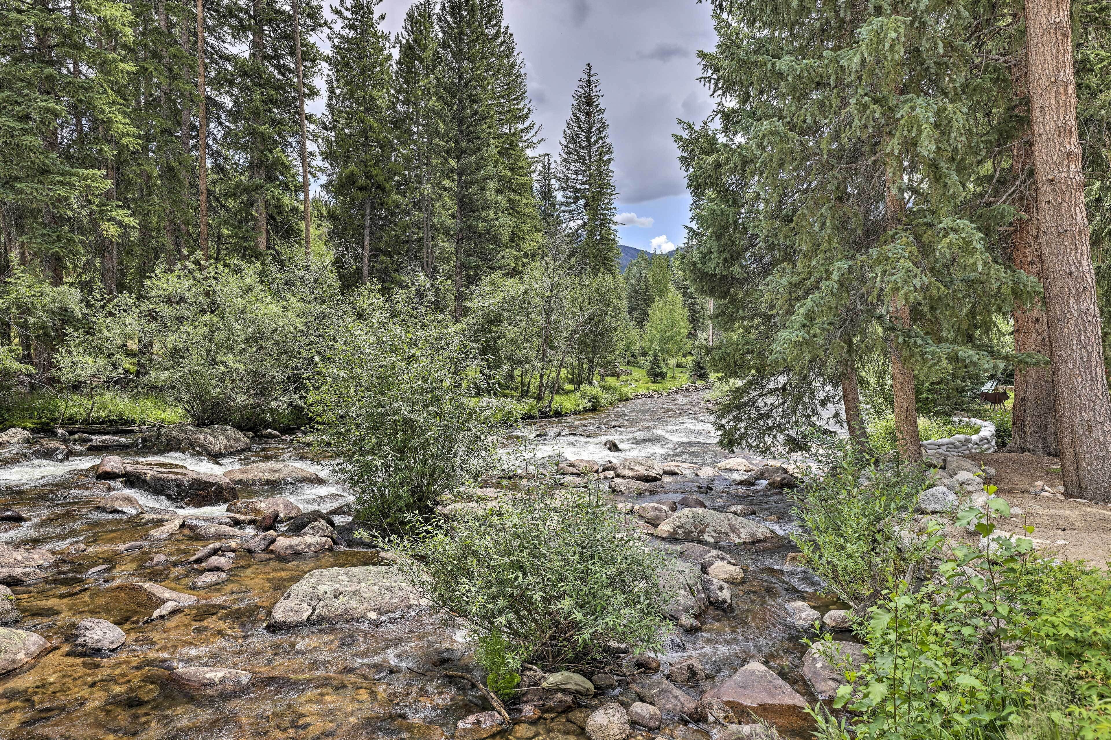 A natural landscape with a flowing river, dense forest, and a distant mountain.