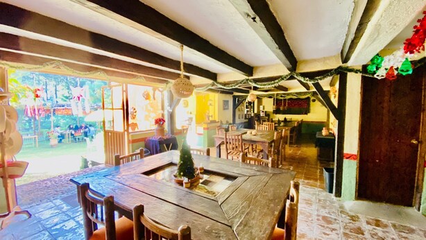 A rustic dining area with a large wooden table and chairs, a small Christmas tree, and a view of the outdoor patio area. - RANCHO CUMBRE MONARCA  (Ocampo)