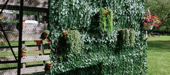 Luxurious Bell Tent on Ischua Creek at Campground Adventures