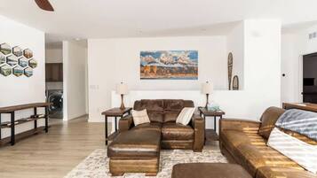 TV, fireplace, books, offices