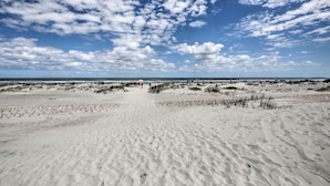 Una spiaggia sabbiosa con dune e cielo sereno.