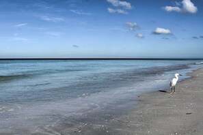 Apartment (2 Bedrooms) | Interior - Indian Shores Townhome w/ Pool Access & Kayaks! (Indian Shores)