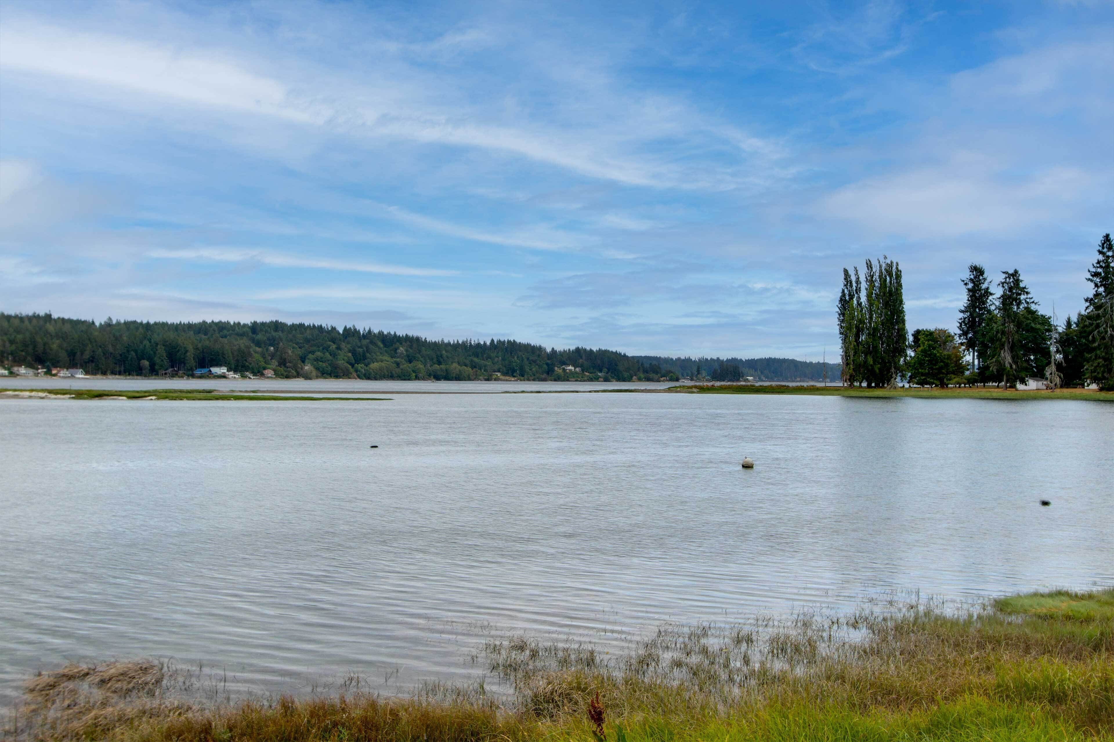 Un lago tranquilo con una orilla boscosa y un cielo despejado.