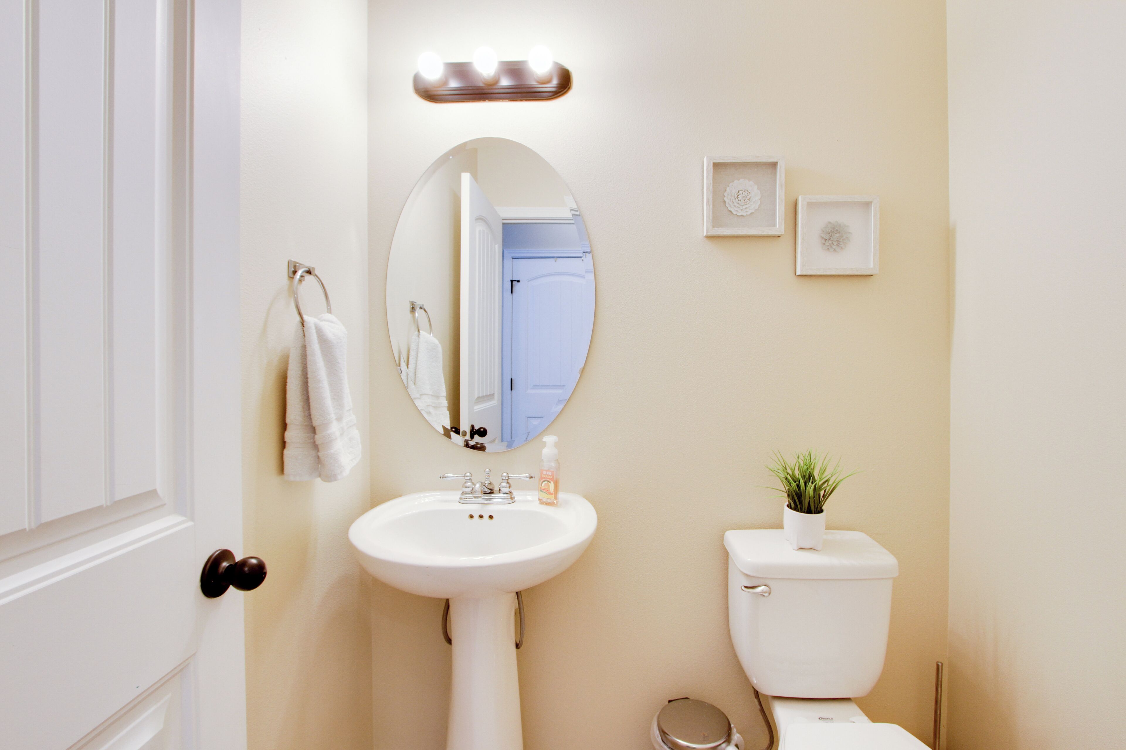 Een badkamer met een witte wastafel, een spiegel, een toilet en een kleine plant in een pot.