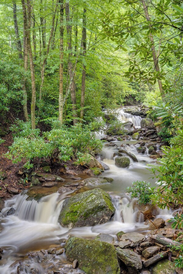 Un ruisseau de forêt, avec des rochers et des arbres.