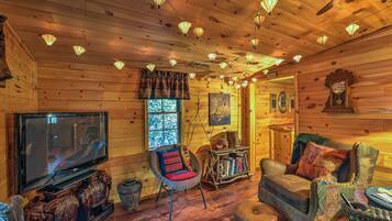 TV, fireplace, books