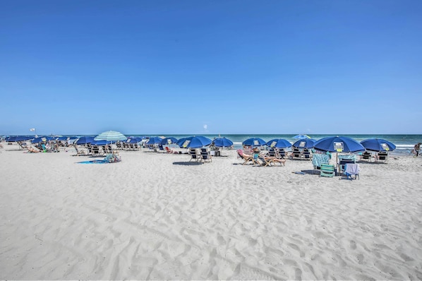 Appartamento (3 Bedrooms) | Interni