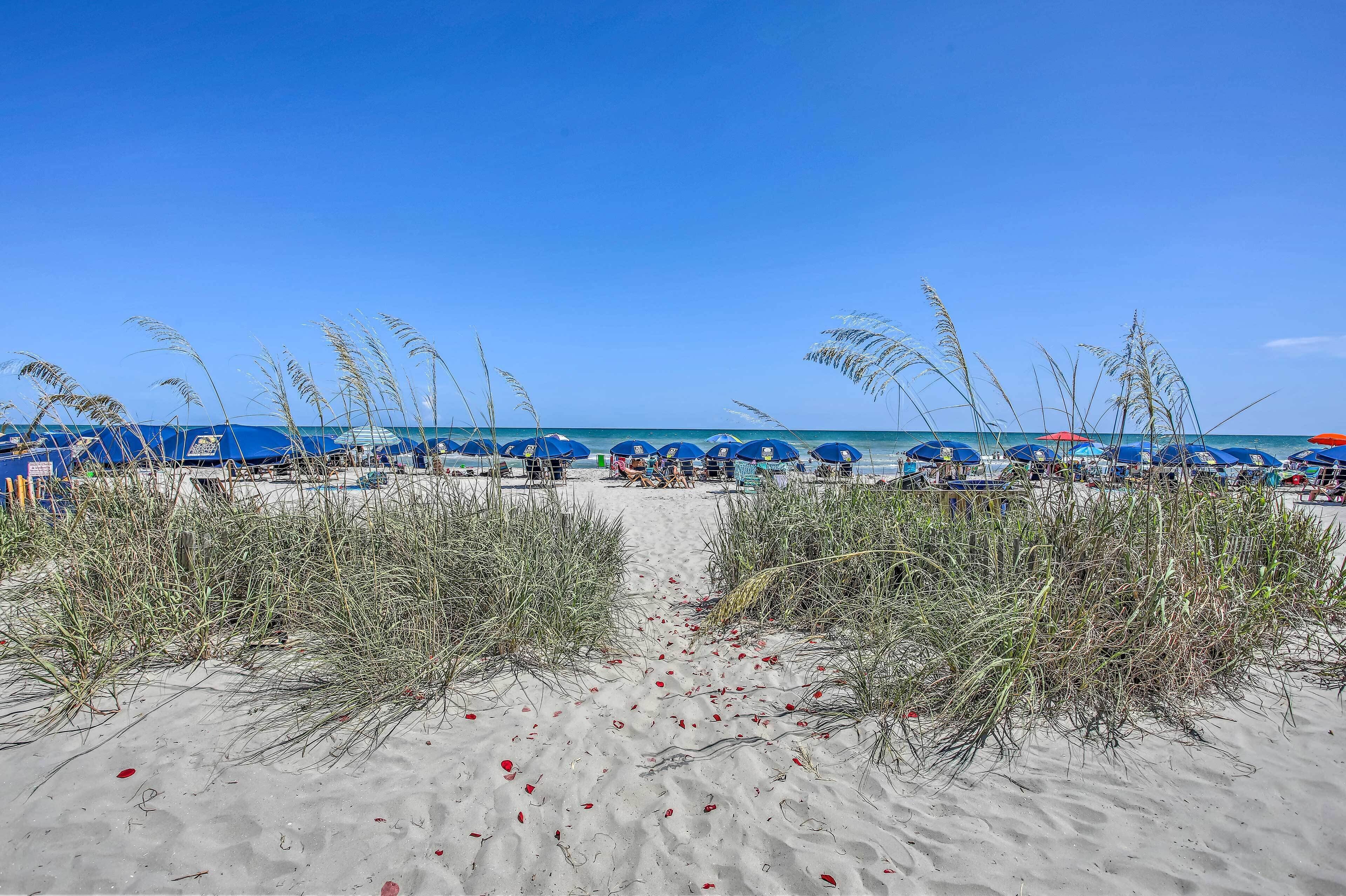 Uma praia com fileiras de guarda-sóis azuis e cadeiras de praia, um caminho de areia e grama alta.