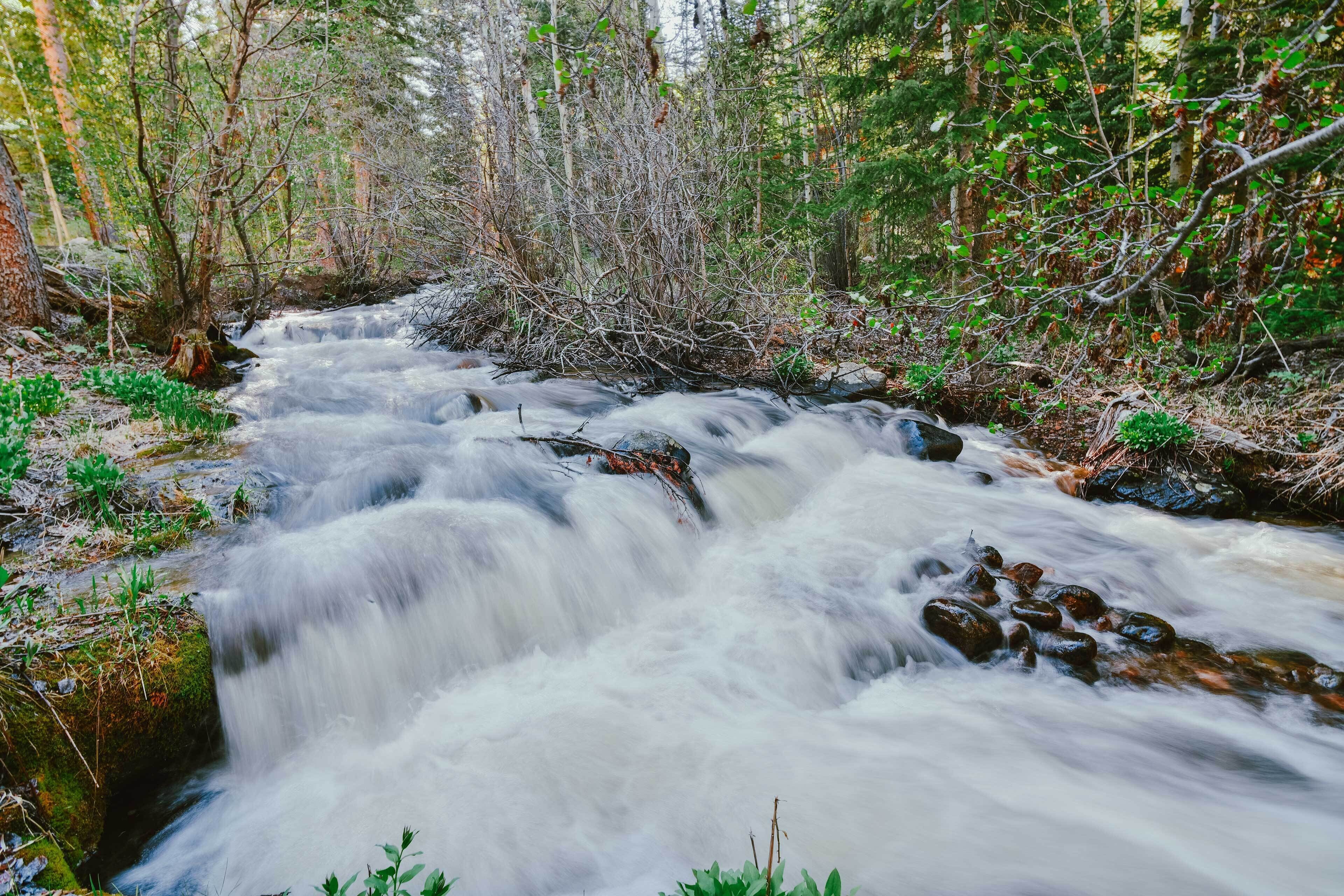 A fast-flowing river in a forested area with rocks and greenery.