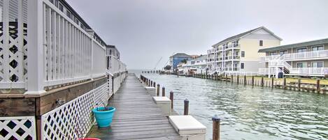 Appartement (1 Bedroom) | Interieur