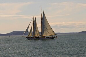 A sailboat on a calm body of water with distant land in the background.