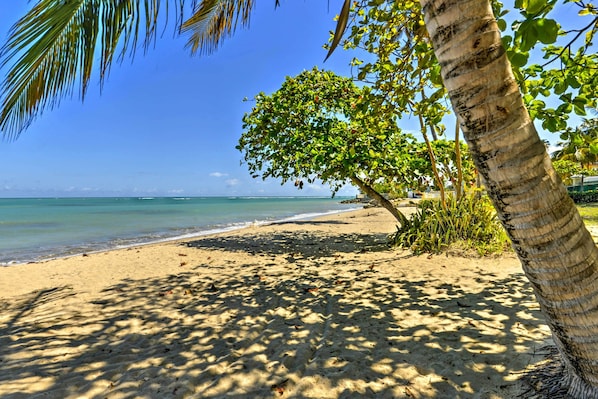 Apartment (3 Bedrooms) | Interior - Tropical Puerto Rico Penthouse: Waterpark On-site! (Loiza)