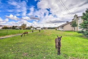 Ferienhaus (4 Bedrooms) | Innenbereich