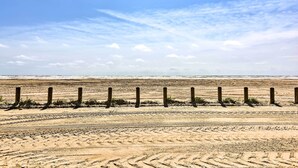 A sandy beach with wooden posts and tire tracks.
