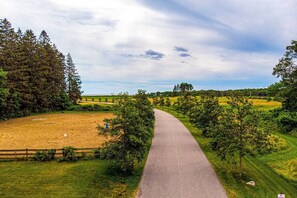 A rural road curving through a green landscape with trees and open fields. - Charming Jacuzzi-suite - Walk to Parson's Beach! (Kennebunk)