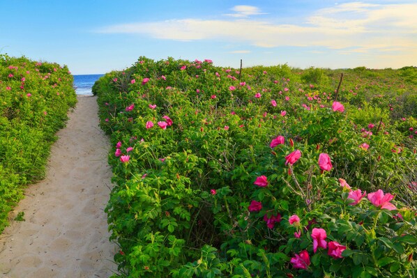 Småhus (1 Bedroom) | Innvendig