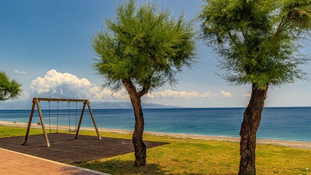 Ein Park am Strand mit einer Schaukel und zwei Bäumen.