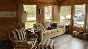 Smart TV, chimenea y reproductor de DVD