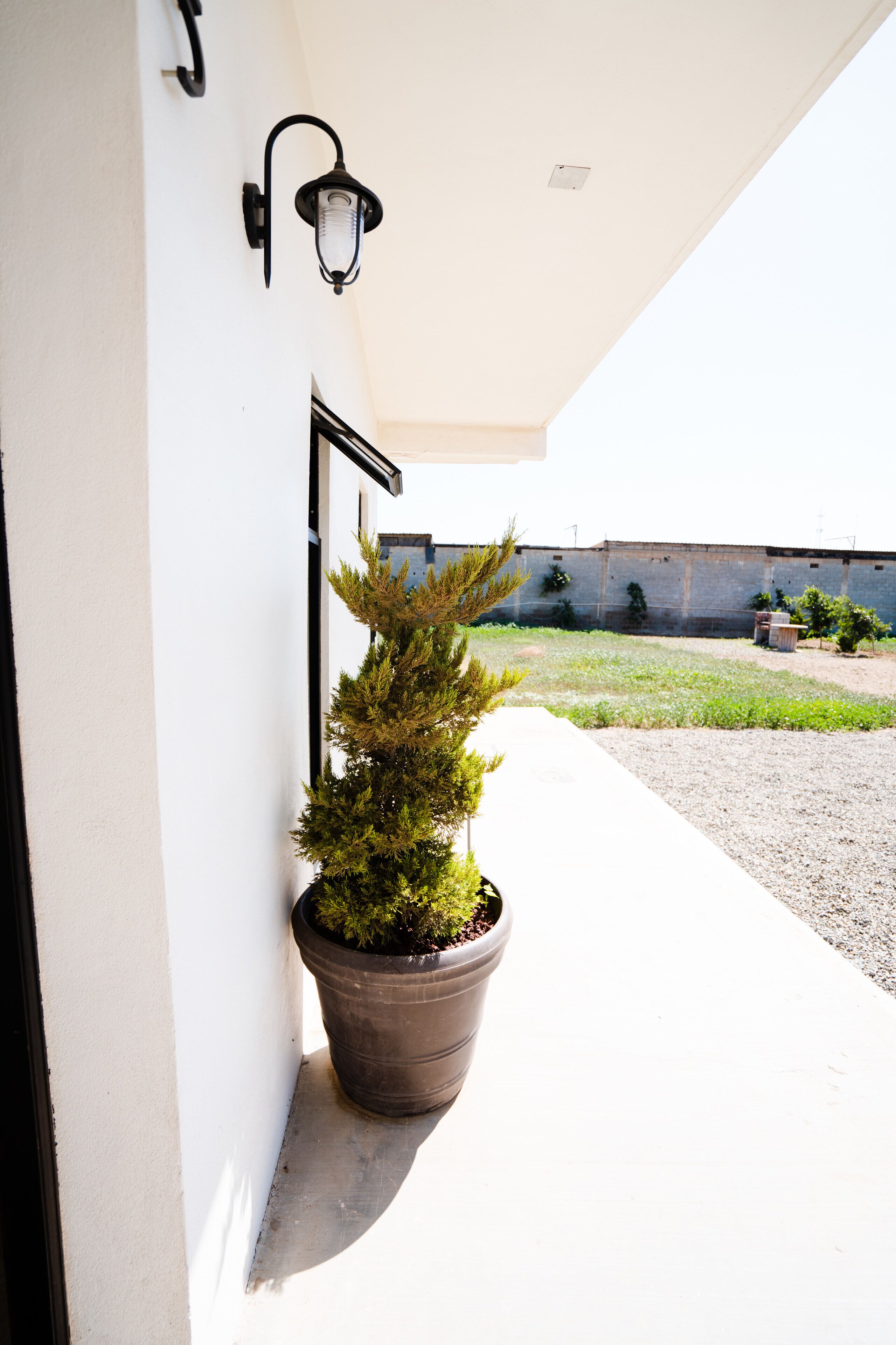 A potted plant on a white wall next to a door, a black wall-mounted light fixture, and a clear sky.