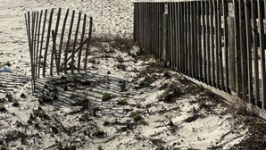 A sandy beach with wooden fences and sparse vegetation. - Hangloose Hideaway Beach House w/ a pool. 1 block to beach. Great fall rates! (Gulf Shores)