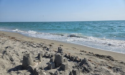 Zara Camper on a Horse farm 25min to Beach!