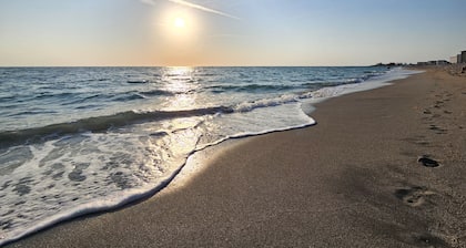 Zara Camper on a Horse farm 25min to Beach!