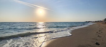 Zara Camper on a Horse farm 25min to Beach!