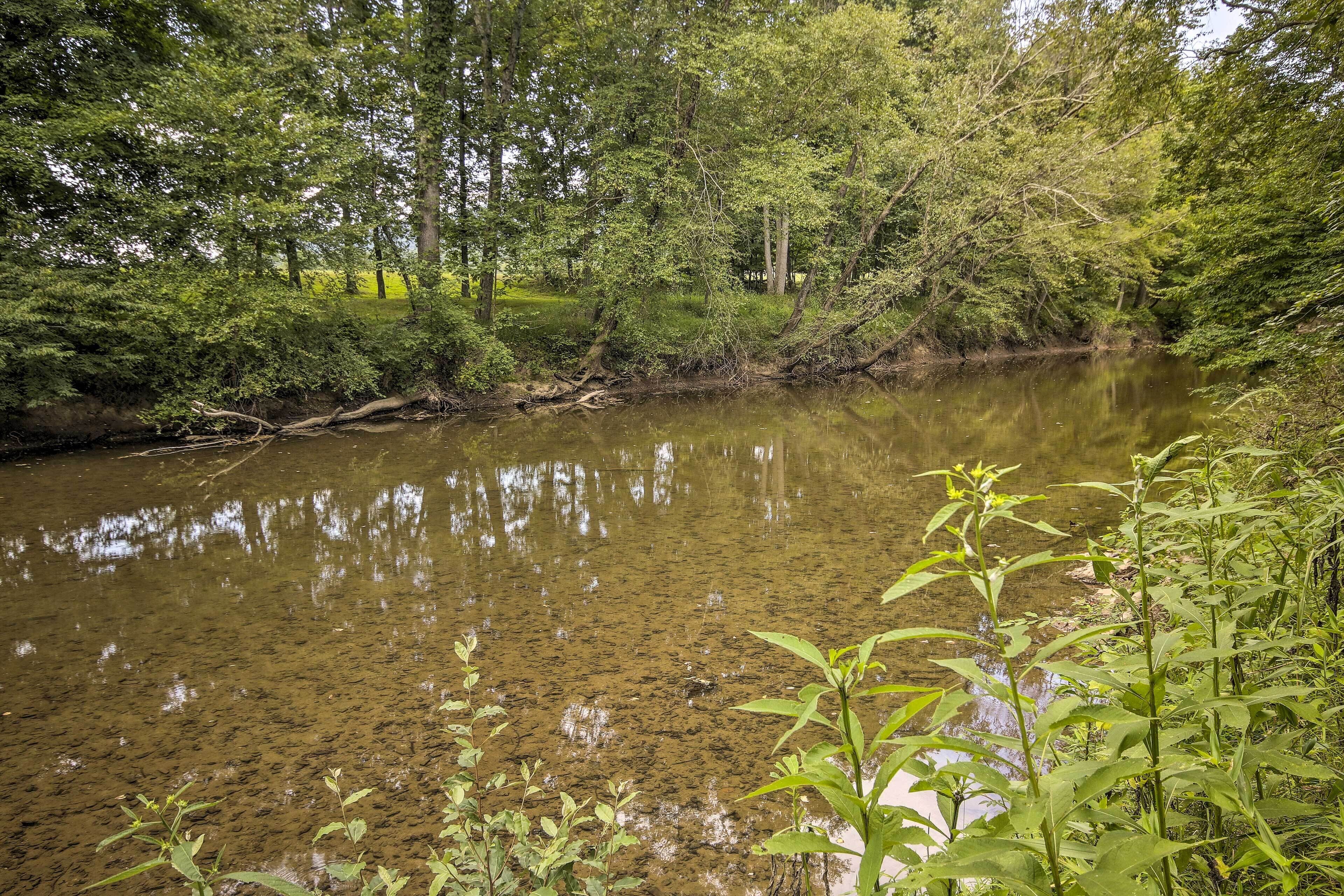 A natural landscape with a river, dense trees, and clear water reflecting the surroundings.