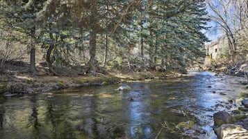 A river flowing through a forested area with trees and rocks along the banks.